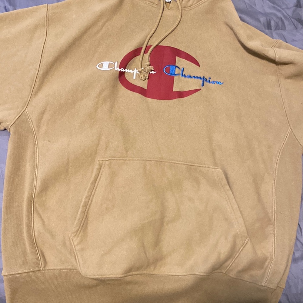 Men Brown Champion Hoodie, Size XL, Never Worn, Cotton